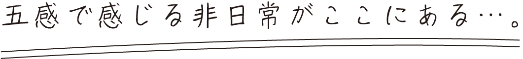 五感で感じる非日常がここにある…。